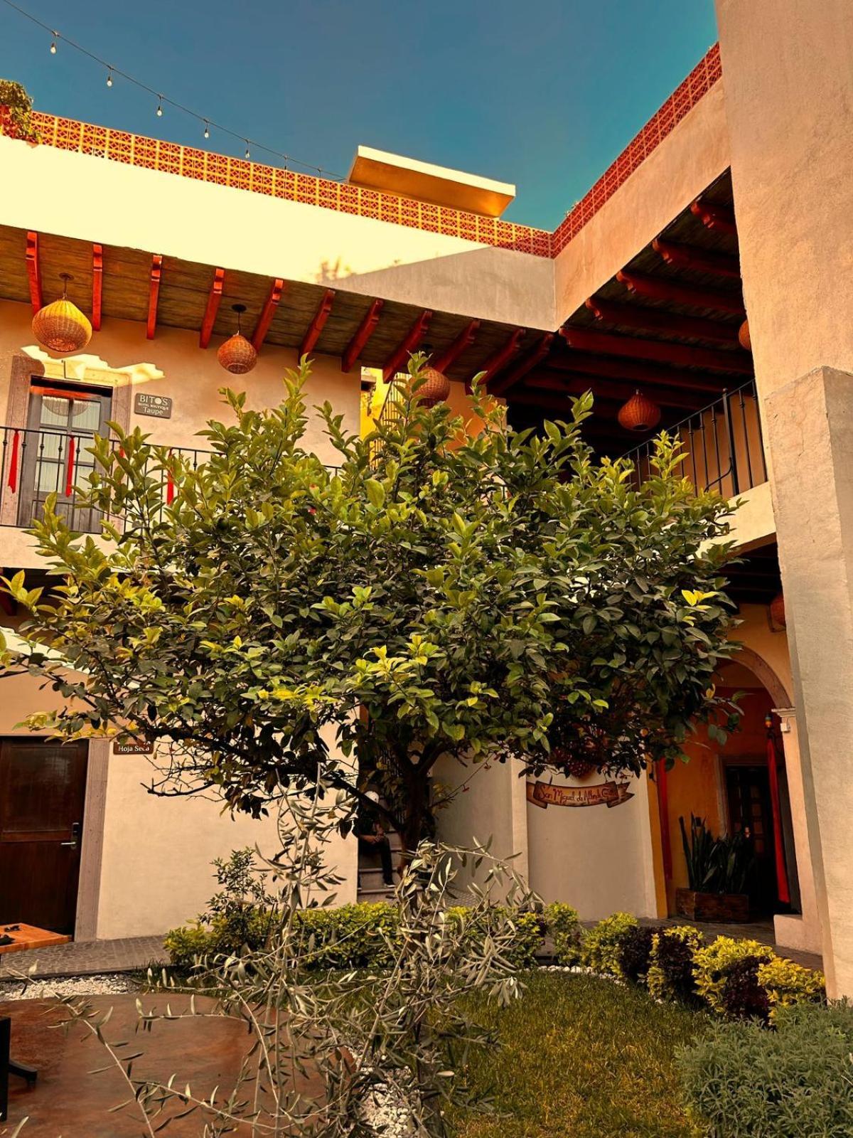 Bito'S Hotel Boutique San Miguel de Allende Luaran gambar